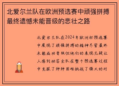 北爱尔兰队在欧洲预选赛中顽强拼搏最终遗憾未能晋级的悲壮之路