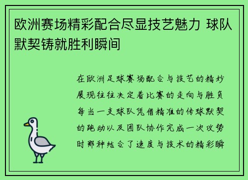 欧洲赛场精彩配合尽显技艺魅力 球队默契铸就胜利瞬间